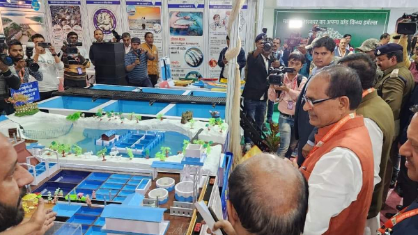 MP तेंदूपत्ता संग्रह को को फिर से मिलेगी साड़ी,पानी की बोतल MP तेंदूपत्ता संग्रह को को फिर से मिलेगी साड़ी,पानी की बोतल