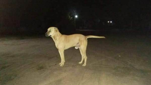 सबसे ज्यादा होता है रात में खतरा