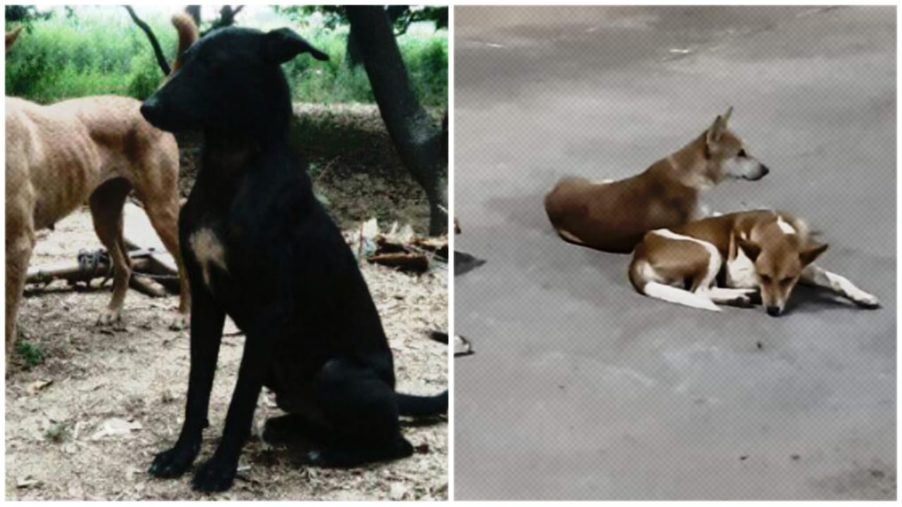 मां घर में कर रही थी काम