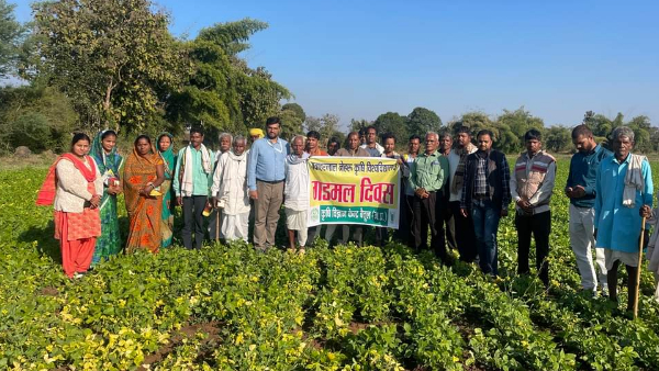 मधुमेह को नियंत्रित करने में खासी मदद