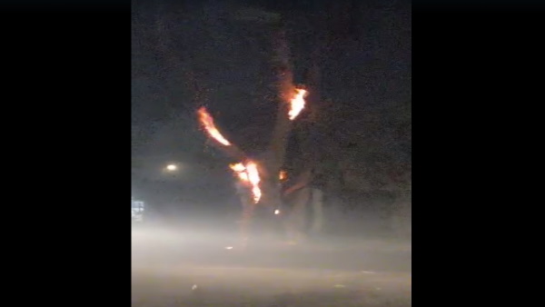 Gonda Peepal tree started burning villagers shocked video viral social media up news reason unknown