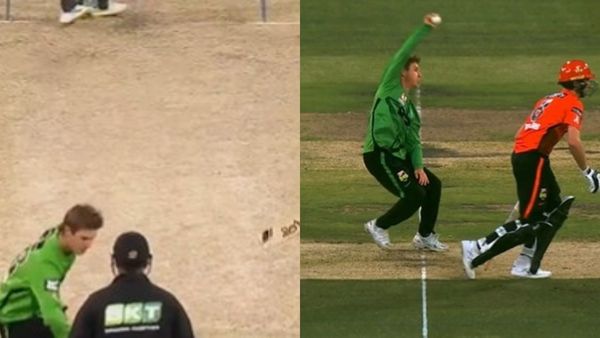 Adam Zampa Adam Zampa
