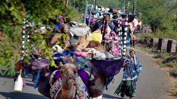 आदिवासी बनाम वनवासी का दांव हो चुका है फेल