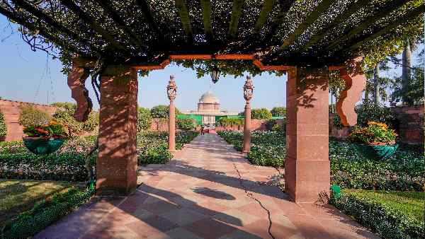 अमृत उद्यान में सजीली घास