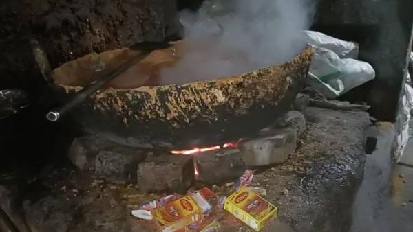 इलायची,सौंफ और साधारण भूरा का उत्पादन इलायची,सौंफ और साधारण भूरा का उत्पादन