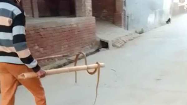 'इस तरह का मामला पहले नहीं देखा'