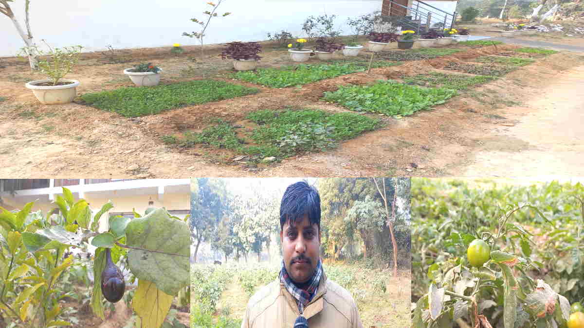 mirzapur farmer amit chaturvedi does miracle by converting barren land into agricultural land mirzapur farmer amit chaturvedi does miracle by converting barren land into agricultural land