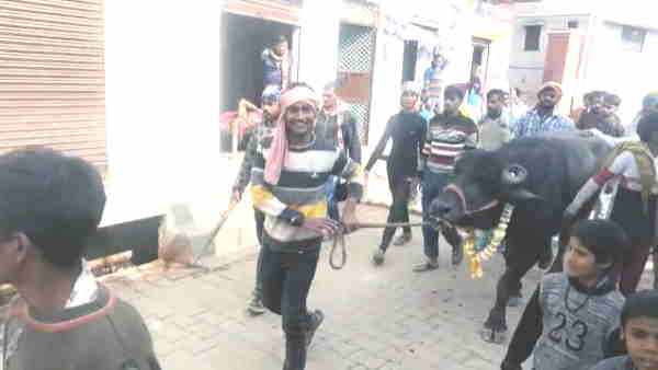 इंसानो का मजा, बेजुबान को सजा
