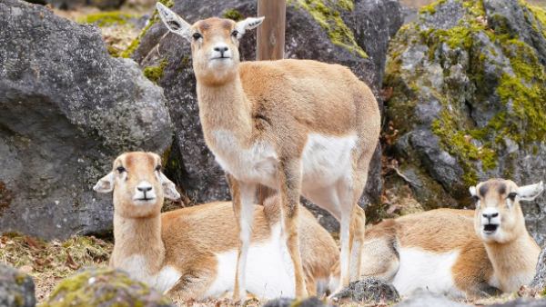 जेनेटिक डेटा में आए ये तथ्य 