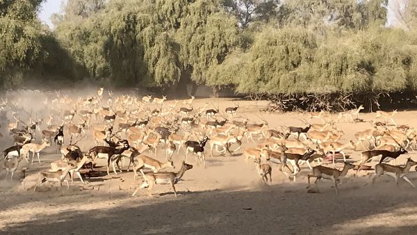 DNA रिपोर्ट से खुलेगा राज