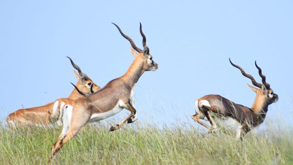 8 राज्यों की 12 जगहों के नमूने