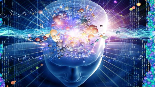 चूहे पर हुआ था पहला टेस्ट