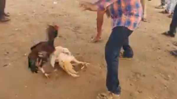 राज्य सरकार की दलील को अदालत ने ठुकराया