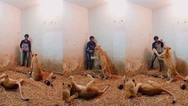 VIDEO हजारों लोग लाइक कर चुके हैं
