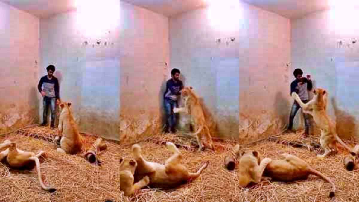 viral video
