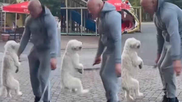 कुत्ते ने मालिक के साथ कूदा रस्सी, दो पैरों से कारनामा दिखाकर बनाया ...