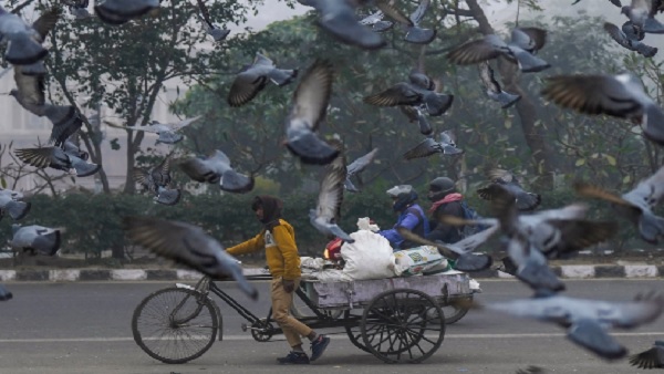 Delhi Weather Delhi Weather