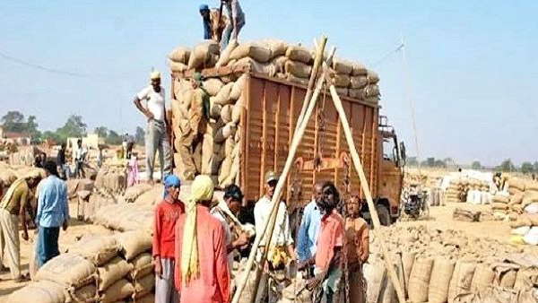 100 लाख मीट्रिक टन धान की खरीदी 