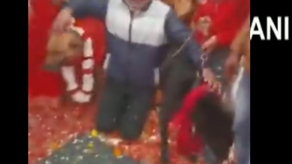 जयमाल पहनाकर रचाई गई शादी 