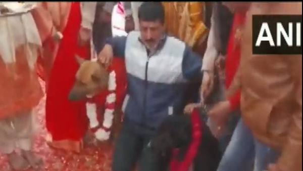 शादी पर खर्च किए 45 हजार रुपये 