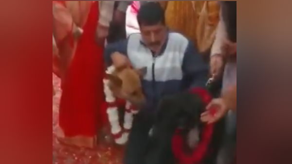 वीडियो देख यूजर्स र रहे ये कमेंट 