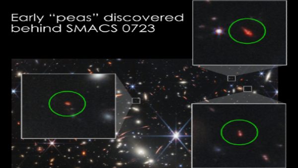 हरी मटर जैसे डॉट्स