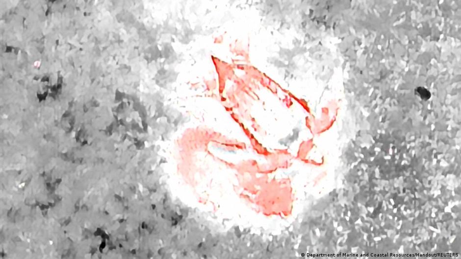 अंडे देते कछुए की थर्मल इमेज