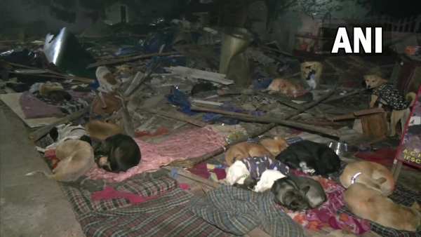 बूढ़ी हो चुकी हैं डॉग की केयर टेकर बूढ़ी हो चुकी हैं डॉग की केयर टेकर