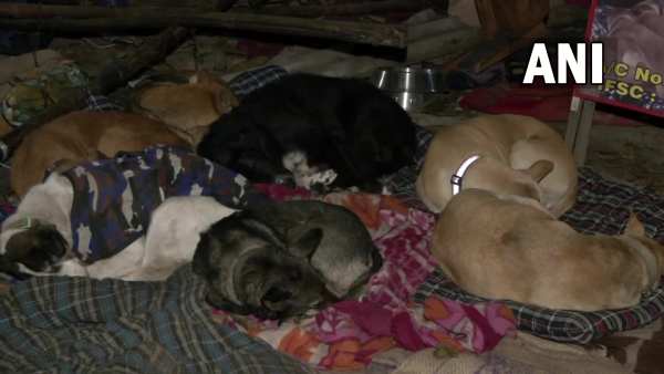 पांच साल पहले भी उजड़ा था आशियाना पांच साल पहले भी उजड़ा था आशियाना