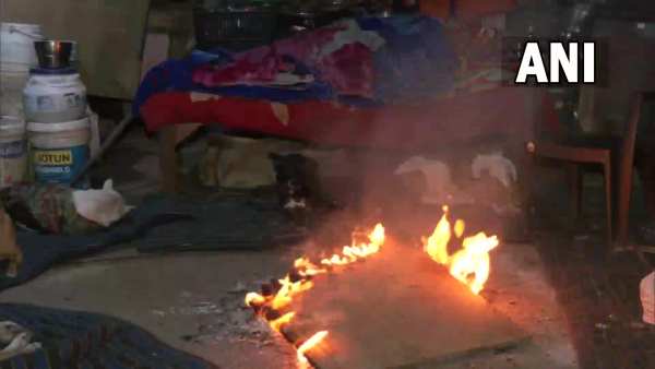 कुत्तों की देखभाल को समर्पित जीवन कुत्तों की देखभाल को समर्पित जीवन