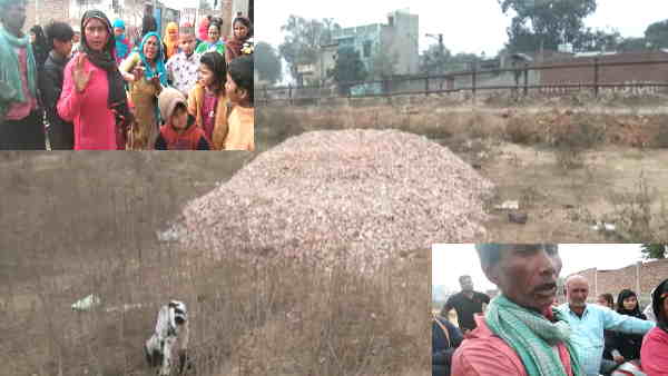 Build a school or build a park Gaushala will not be allowed to be built local people protest Mathura