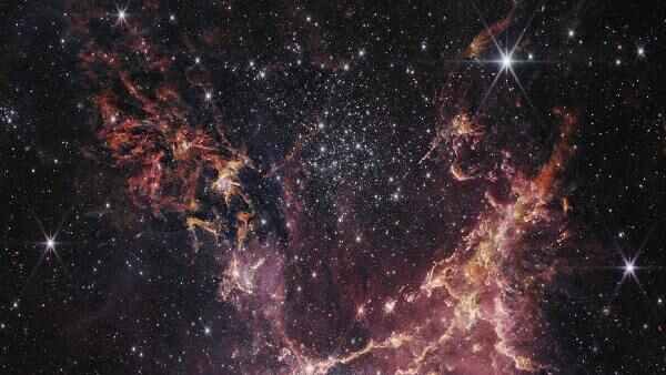 घटना के वक्त अफ्रीका में थे निअंडरथल