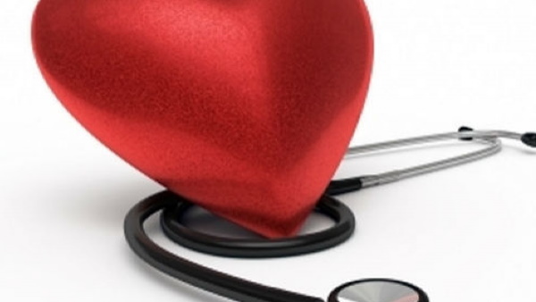 पहले बछड़े पर किया गया था ये प्रयोग 