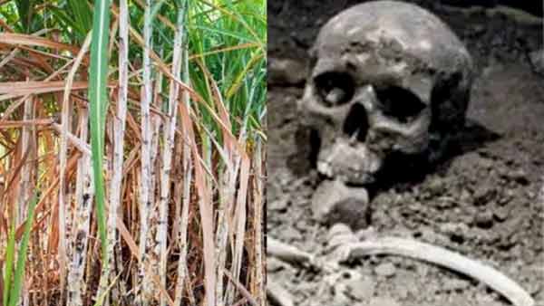 शरीर के कई अंग हो गए थे गायब 