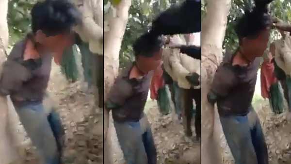 पेड़ में बांधकर कैंची से काटने लगे बाल