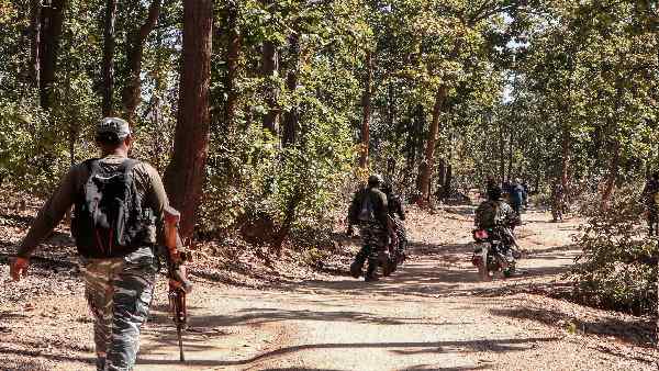 शुरू में जिंदा पकड़ने की कोशिश होगी- वन अधिकारी शुरू में जिंदा पकड़ने की कोशिश होगी- वन अधिकारी