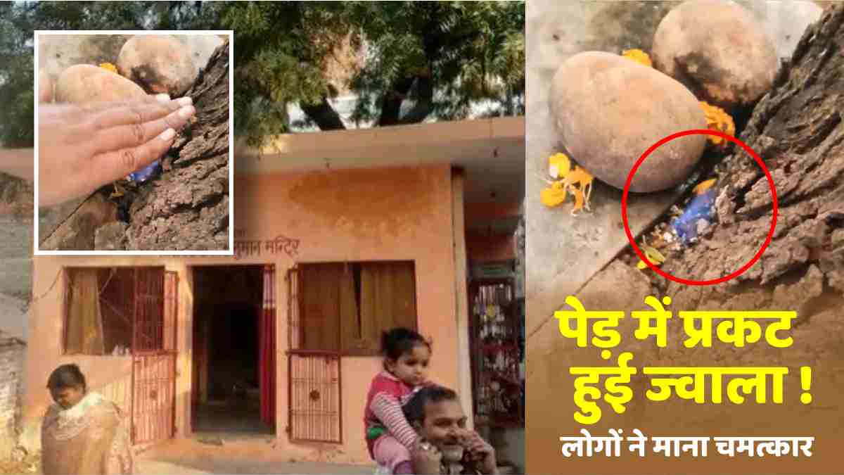 Kanpur hanuman temple avatar of Maa Jwala devi appeared people saying miracle viral video Kanpur hanuman temple avatar of Maa Jwala devi appeared people saying miracle viral video