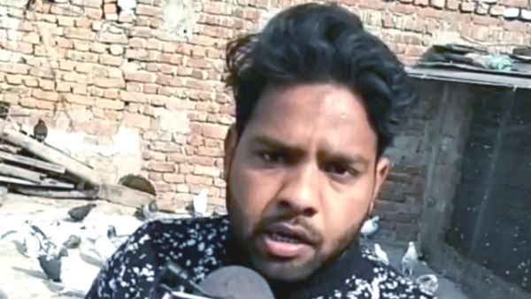 Shahjahanpur Neighbor poisons 35 pigeons in Shahjahanpur avenges cat disappearance up news