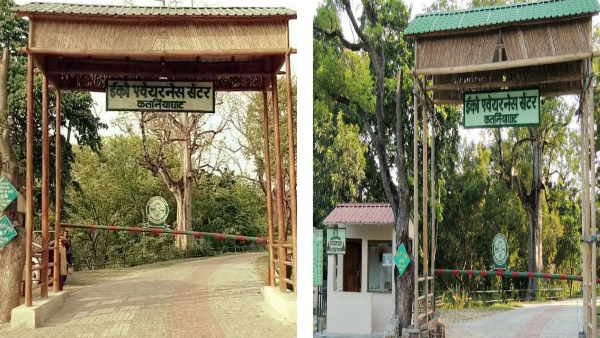 रेल की छुक-छुक और जंगल का सन्नाटा