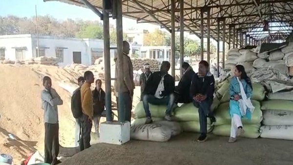MP: धान के नाम पर भूसे की खरीदी! 38 हजार बोरी जब्त