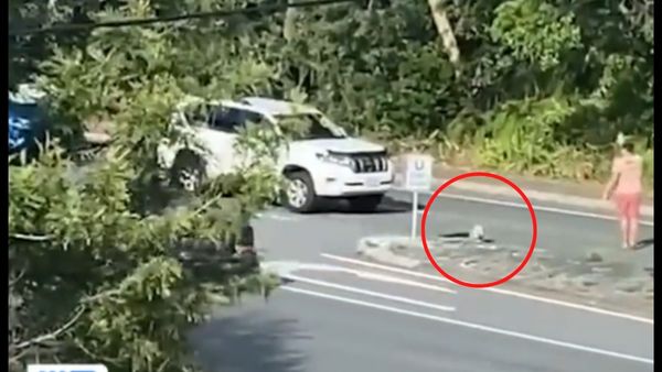 लोगों ने शख्स को बताया असली हीरो