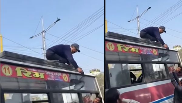 शख्स ने ऐसे बचाई कबूतर की जान