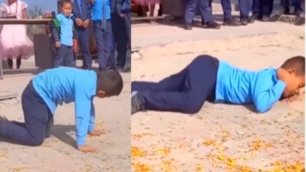 लोगों को खूब पसंद आया वीडियो