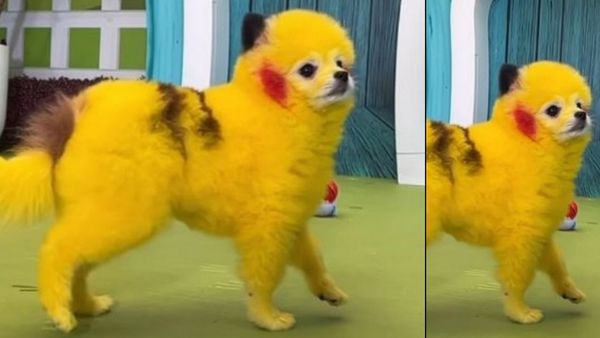 शख्स पर भारी पड़ी ये करतूत