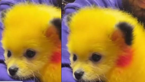 शख्स ने बोली ये बात