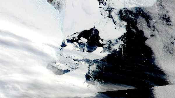 अंटार्कटिका में इतना बड़ा उल्कापिंड दुर्लभ- वैज्ञानिक अंटार्कटिका में इतना बड़ा उल्कापिंड दुर्लभ- वैज्ञानिक