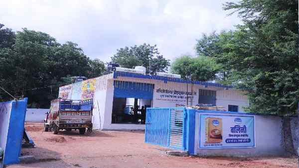 मवेशियों पर क्या गुजरा ?