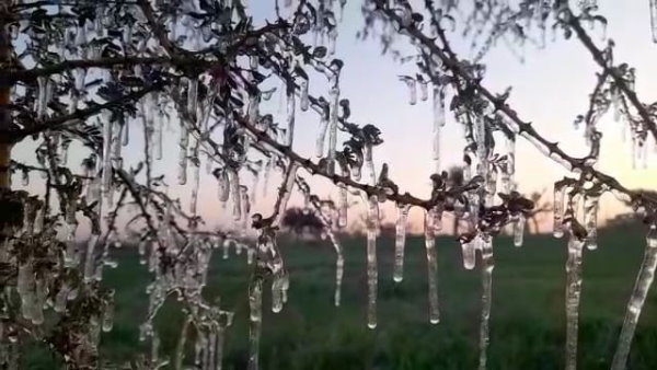  सबसे ज्‍यादा सर्दी चूरू में पड़ती है