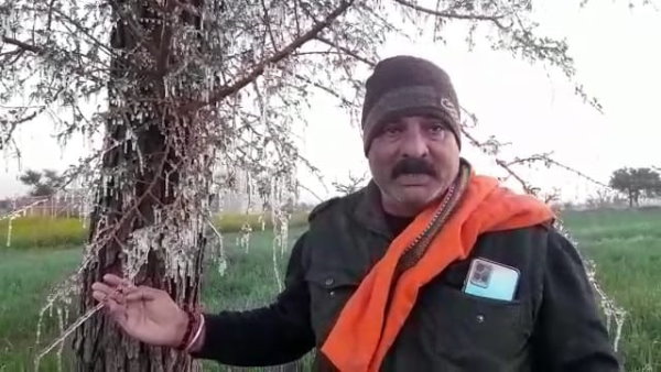 18 जनवरी तक स्‍कूलों में अवकाश