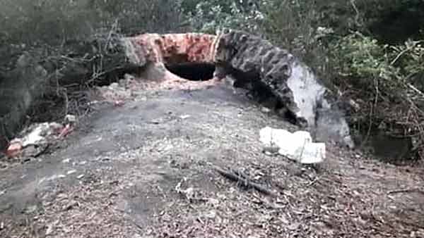 MP News Today Coal Mine